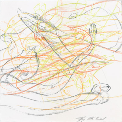Tiffany Miller Russell - Essence of Snake: Orange & Green #1 - Colored Pencil