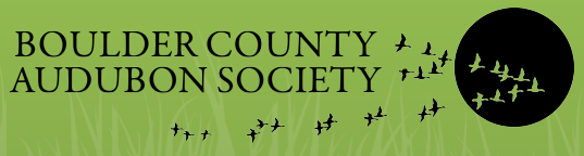 Boulder County Audubon Society Holiday Sale and Fundraiser