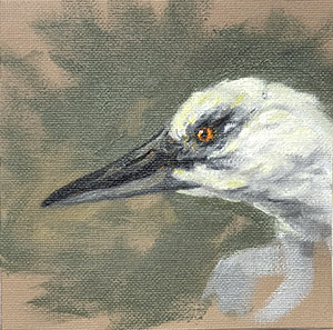 Tiffany Miller Russell - Bird, Fantasy - Oil