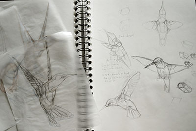 Concept Sketches and Reference Studies - Tiffany Miller Russell