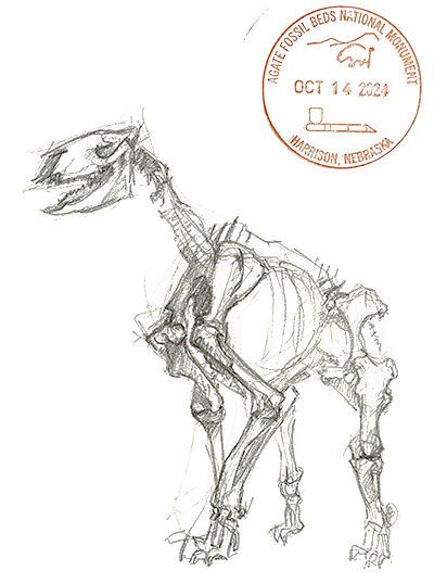 Tiffany Miller Russell - Moropus at Agate Fossil Beds